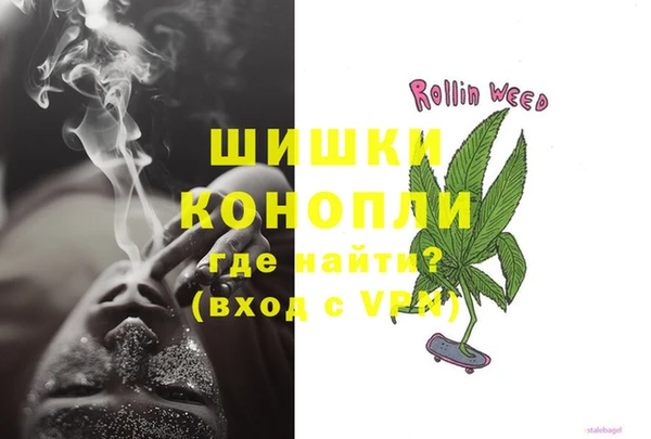 прущие грибы Богородицк
