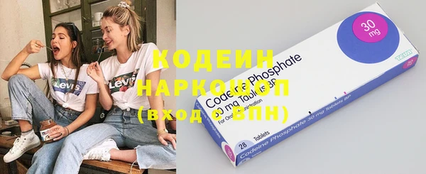 дмт Богданович