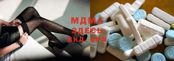 дмт Богданович