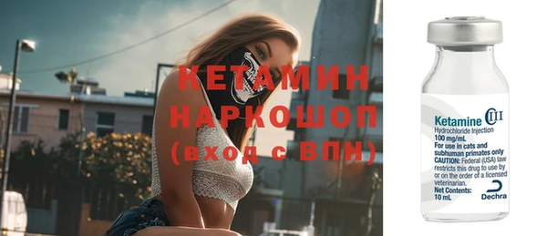 прущие грибы Богородицк