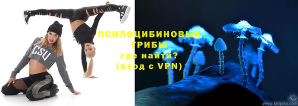 дмт Богданович