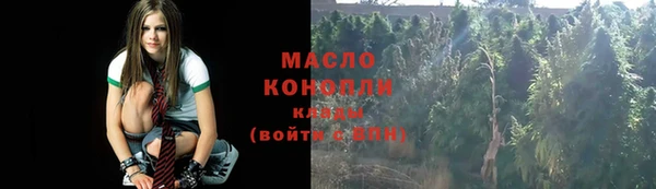 дмт Богданович
