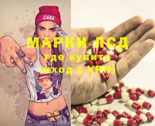 дмт Богданович