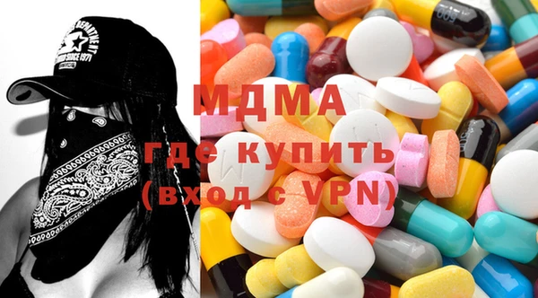 дмт Богданович