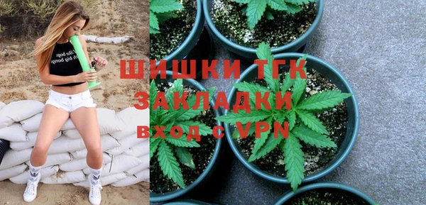 прущие грибы Богородицк