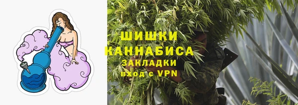 дмт Богданович