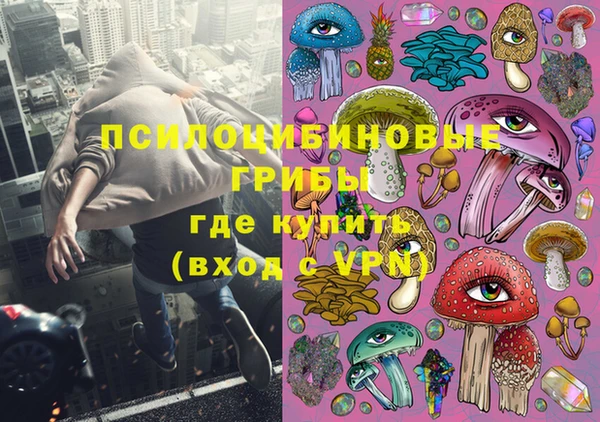 прущие грибы Богородицк