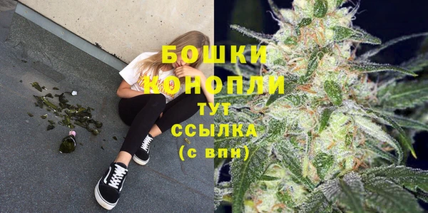дмт Богданович