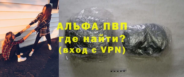 дмт Богданович