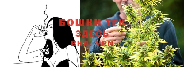 прущие грибы Богородицк